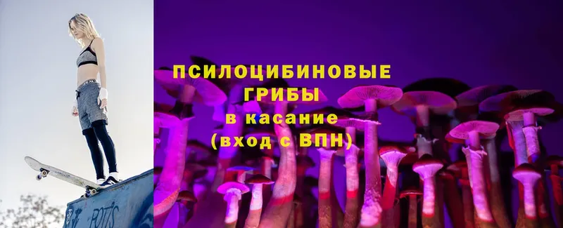 blacksprut ссылки  Суворов  Галлюциногенные грибы мухоморы 